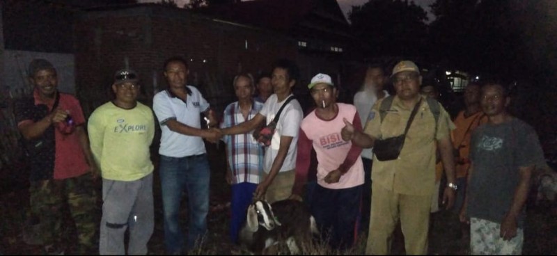 Penerima kambing