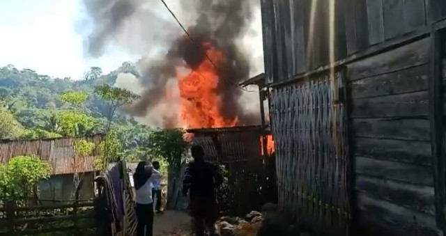 Tangkampulit 